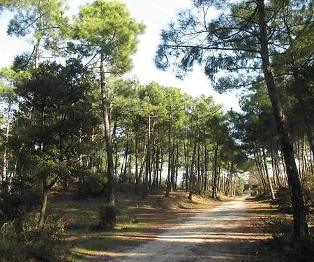 Villa, Jardin, Parkings, Mer A 100 M Villa *