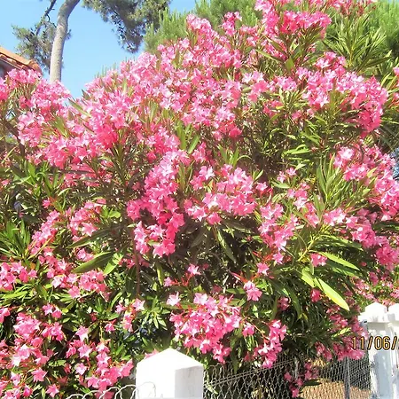 Villa Villa, Jardin, Parkings, Mer A 100 M