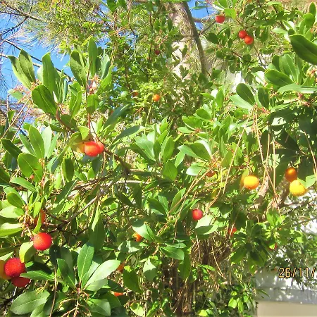 Villa, Jardin, Parkings, Mer A 100 M