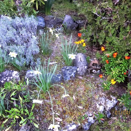 Villa, Jardin, Parkings, Mer A 100 M *
