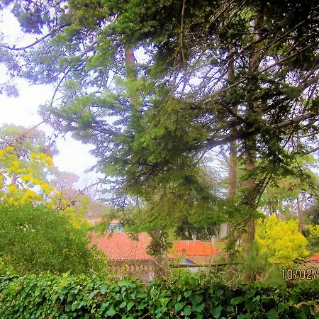 Villa, Jardin, Parkings, Mer A 100 M * La Tremblade