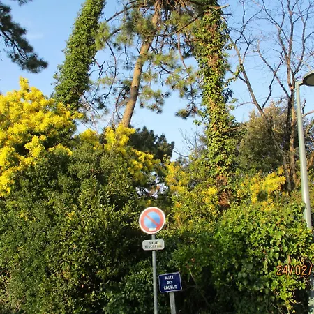 Villa, Jardin, Parkings, Mer A 100 M Villa La Tremblade